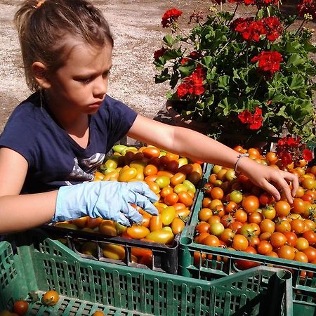 Agriresidence San Pietro بيبيوني المظهر الخارجي الصورة
