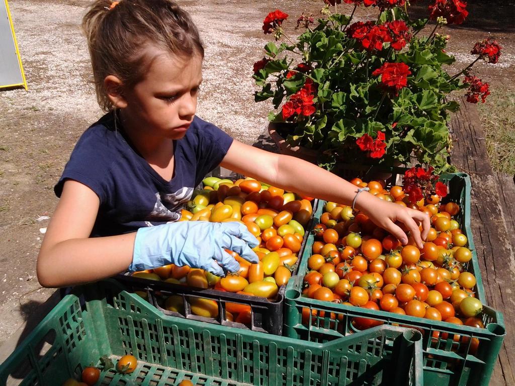 Agriresidence San Pietro بيبيوني المظهر الخارجي الصورة