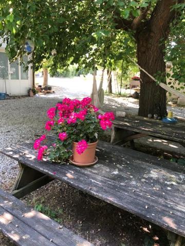 Agriresidence San Pietro بيبيوني المظهر الخارجي الصورة